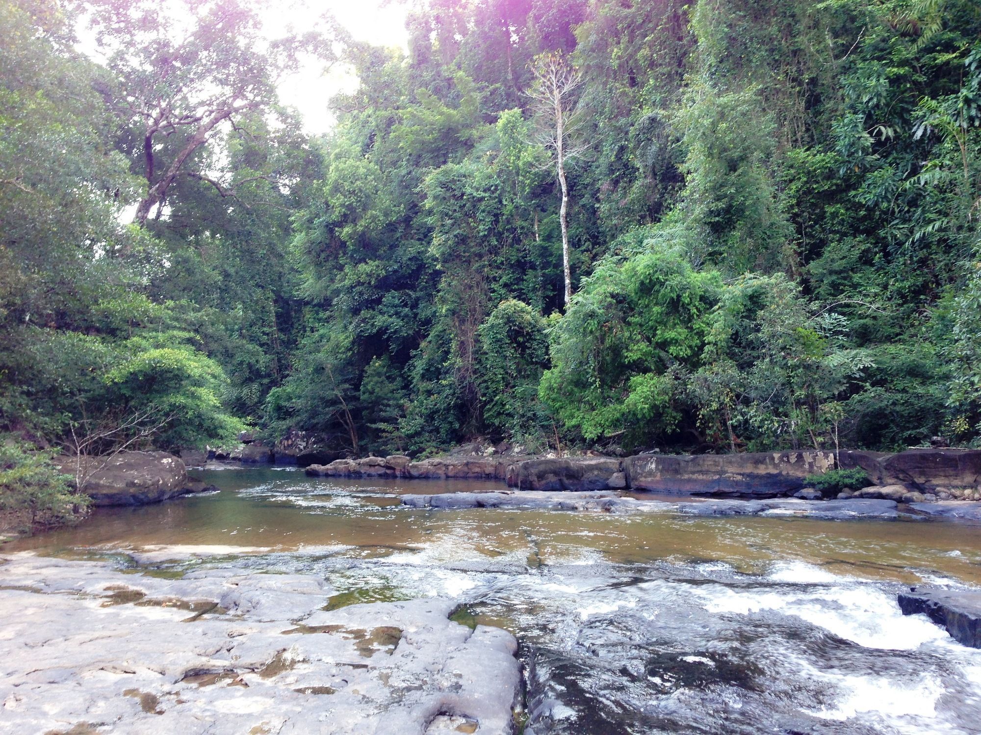 Jungle Koh Kood Resort Ban Khlong Chao Eksteriør bilde